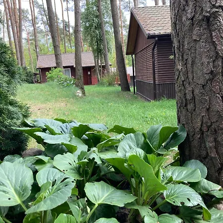 Osrodek Wypoczynkowy Lubie Nad Jeziorem Holiday home *