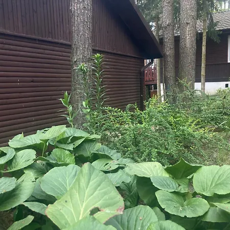 Osrodek Wypoczynkowy Lubie Nad Jeziorem Holiday home